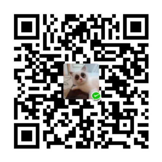 扫码支持
